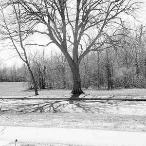 Meet your Posher, Zindagii